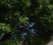 Сдать в аренду Квартиры вторичка Химки, Ленинградская улица  с21 