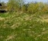 Продать Земельные участки, земля Петергоф, улица Князевская   