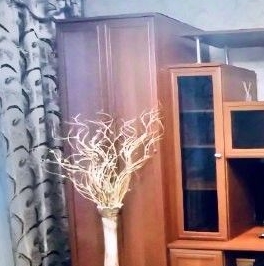 Продажа 2-комн квартиры на вторичном рынке Сергиев Посад, Озерная улица, 11 Продажа 2-комн квартиры на вторичном рынке Сергиев Посад, Озерная улица, 11