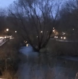 Аренда 1-комн квартиры на вторичном рынке Северный бульвар, 21А