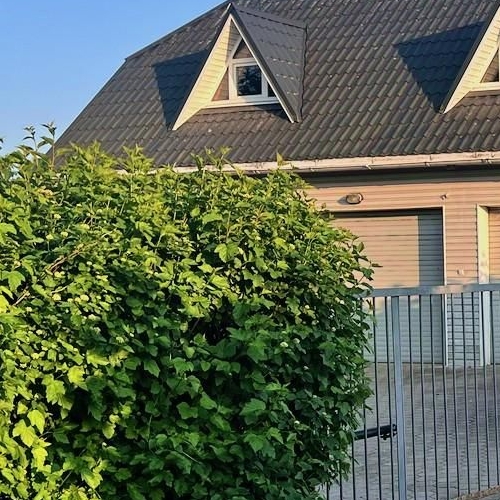 Коттедж/дом Красное Село, Цветочная улица, 3