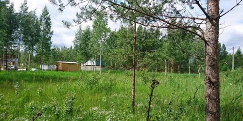Земельный участок Ленинградская область,Гатчинский район,массив Романовская, СНТ Ручеек,