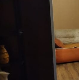 Аренда 2-комн квартиры на вторичном рынке Химки, улица Гоголя, 17 Аренда 2-комн квартиры на вторичном рынке Химки, улица Гоголя, 17