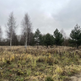 Продажа земли Раменское г., Сергия Радонежского ул.