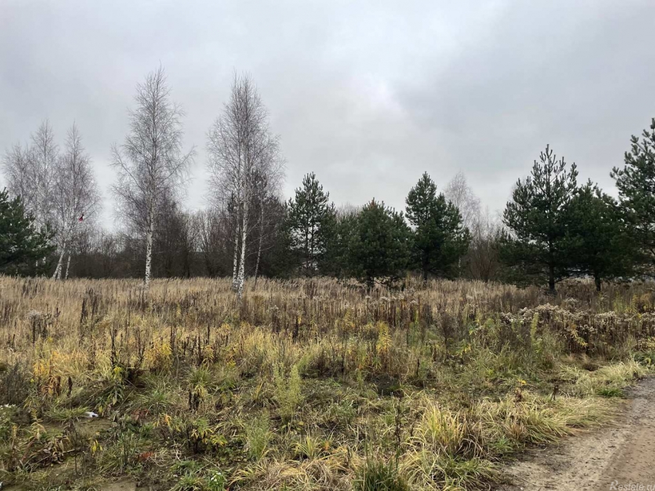 Продажа земли Раменское г., Сергия Радонежского ул.