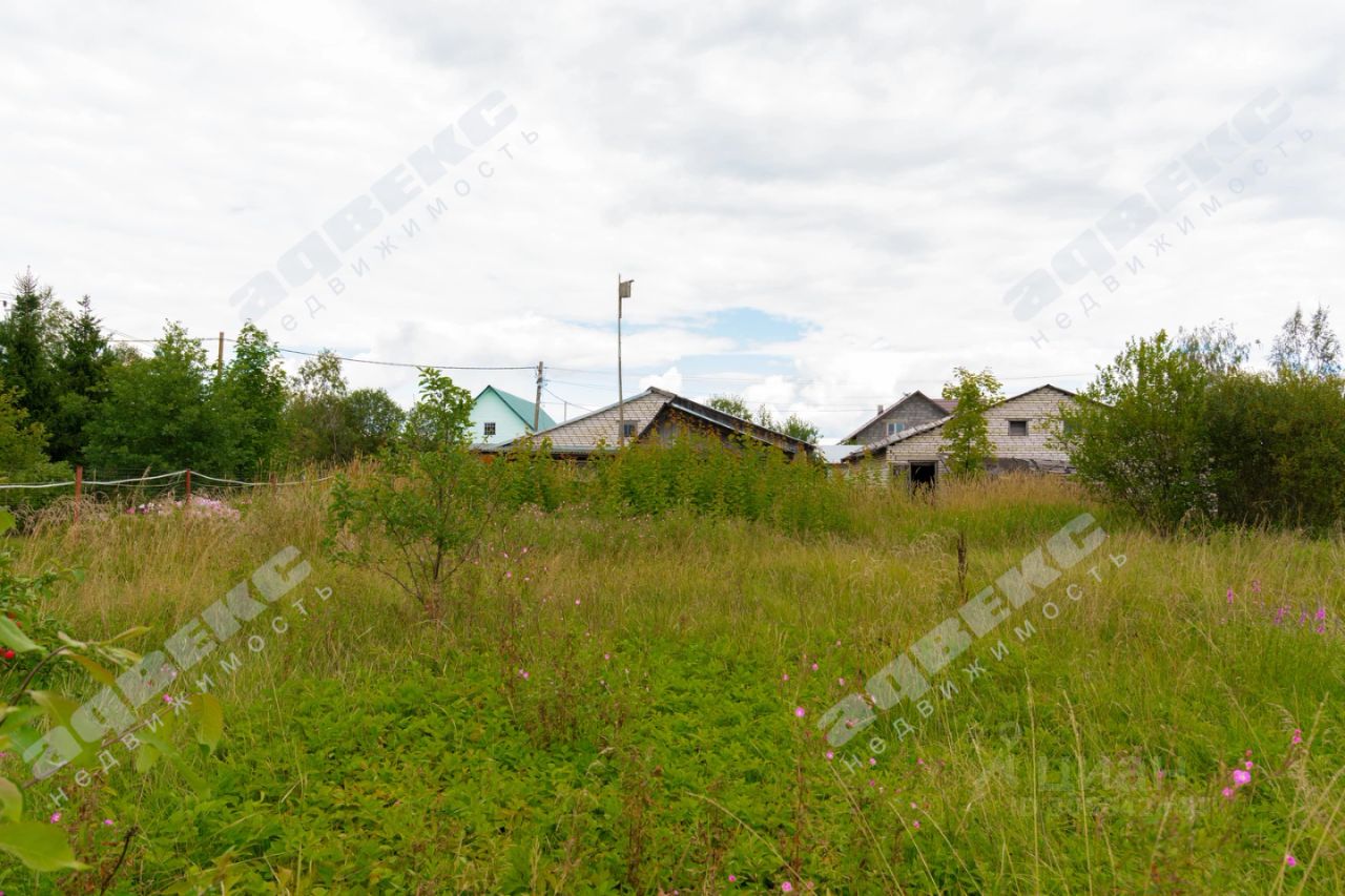 Продажа земли д. Трубников Бор, улица Мира, 25В