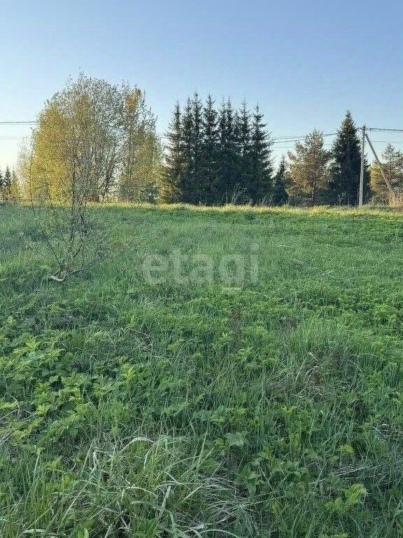 Продажа земли д. Порошкино, улица Строителей