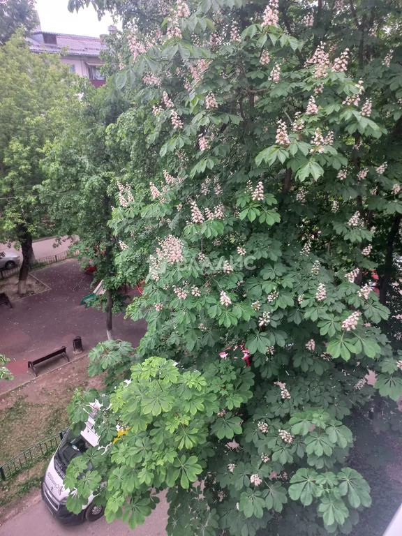 Продажа 2-комн квартиры на вторичном рынке Балашиха, ул. Пионерская,  д. 15