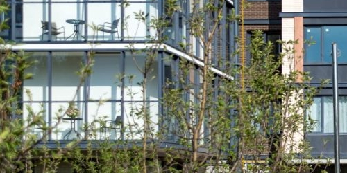 1-комн квартира пос. Лисий Нос, Ивановская улица, 10