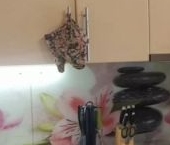 Сдать в аренду Квартиры вторичка Аничково пгт, 5   