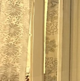 Аренда 1-комн квартиры на вторичном рынке Пушкин, Ленинградская улица, 14