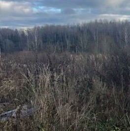 Продажа земли Петровское д,  д. 3