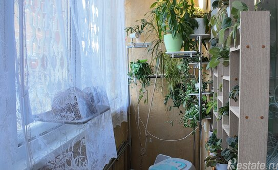 Продажа 1-комн квартиры на вторичном рынке муниципальный округ Чехов, улица Дружбы,  д. 6