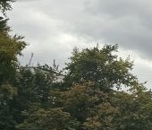 Продать Квартиры вторичка улица Академика Королева, 13   