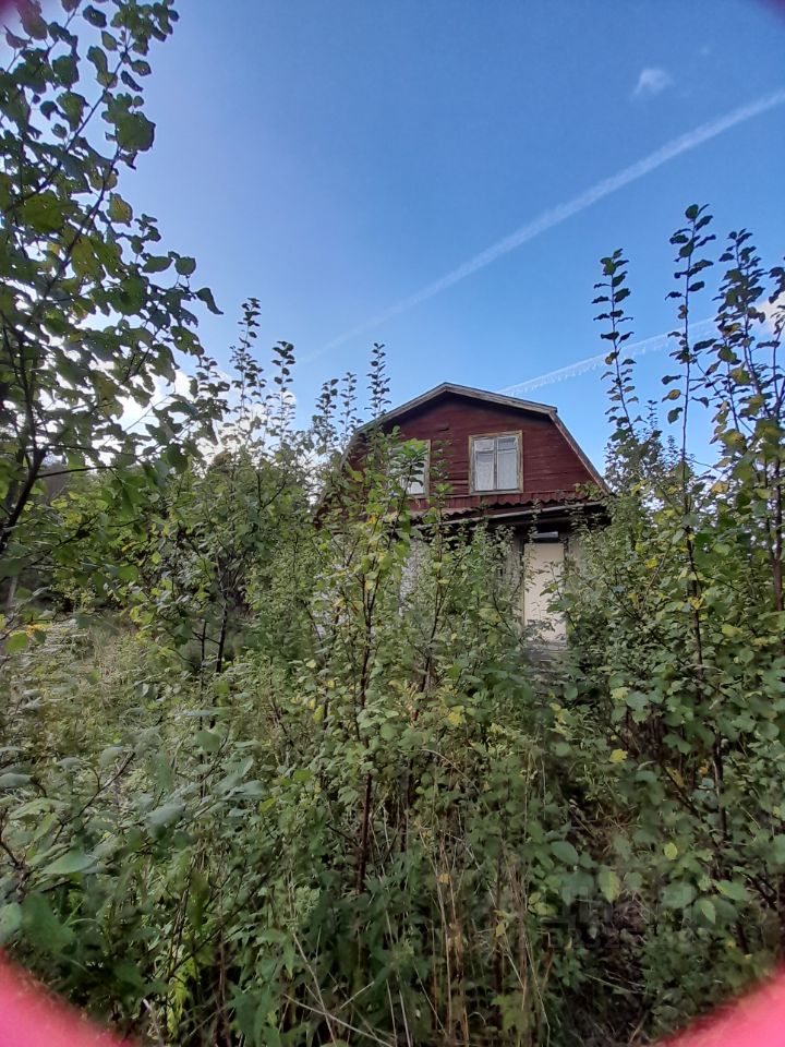 Продажа дома Садовод-Строитель СНТ