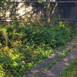 Продажа земли Лахта тер., улица Приморская, 17 Продажа земли Лахта тер., улица Приморская, 17