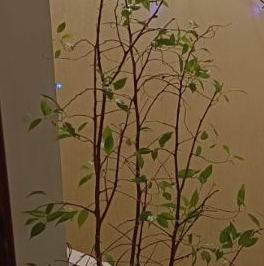 Продажа 1-комн квартиры на вторичном рынке улица Генерала Рычагова, 28/9