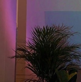 Аренда 2-комн квартиры на вторичном рынке Большая Подьяческая улица, 25 Аренда 2-комн квартиры на вторичном рынке Большая Подьяческая улица, 25