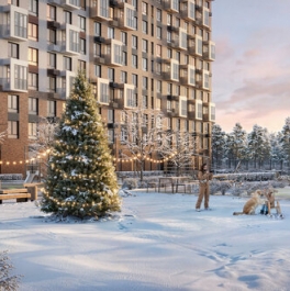 Продажа 1-комн квартиры на вторичном рынке Мисайлово д, Пригород Лесное мкр