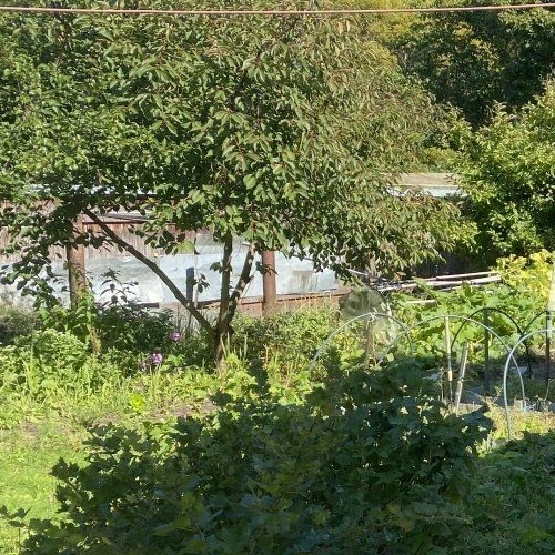 Коттедж/дом Приозерск, улица Горького, 30