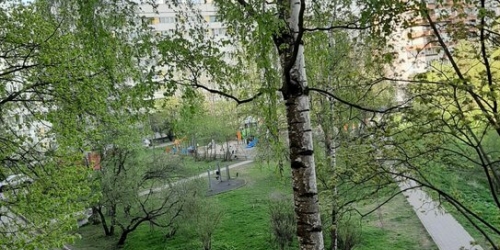 3-комн квартира Авангардная улица,  д. 22