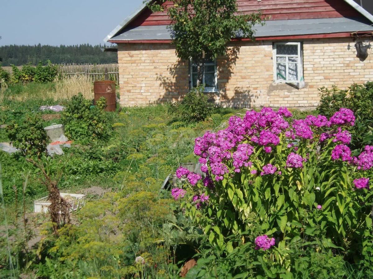 Продажа земли д. Большое Кикерино, улица Северная, 3