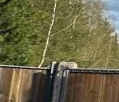 Продать Дачи, коттеджи, загородные дома Бумажник СНТ, улица 8-я, 628   