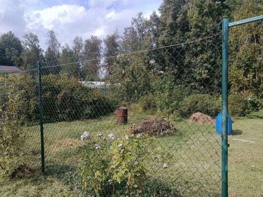 Продажа земли Новая Ропша садоводческий массив, Макаровец-1 СНТ, аллея 12-я Лесная,  д. 31А