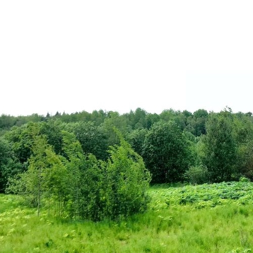 Студия пос. Янино-1, улица Заводская, 18к2