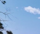 Продать Дачи, коттеджи, загородные дома пос. Лисий Нос, Приморское шоссе, 26А   