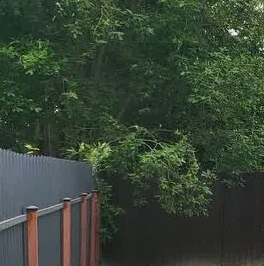 Продажа дома Цветочное ДНП, улица Каштановая Продажа дома Цветочное ДНП, улица Каштановая