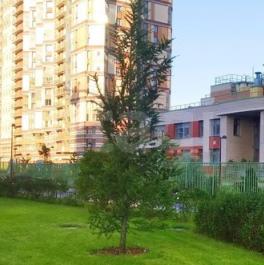 Продажа 2-комн квартиры на вторичном рынке Коломяжский пр-кт,  д. 13