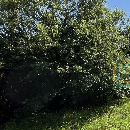 Коттедж/дом д. Проба, шоссе Пробинское, 55