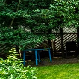 Продажа дома пос. Репино, Кленовая улица