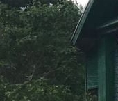 Продать Дачи, коттеджи, загородные дома д. Ручей, 8   