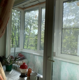 Продажа 1-комн квартиры на вторичном рынке Павлово пос., Невская ул. ,  д. 11