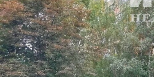 1-комн квартира Трифоновская улица, 11