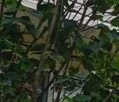 Продать Квартиры вторичка Коломна, улица Гагарина, 74   