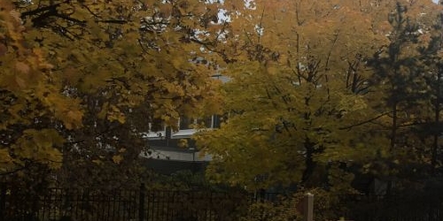 2-комн квартира улица Савушкина, 145