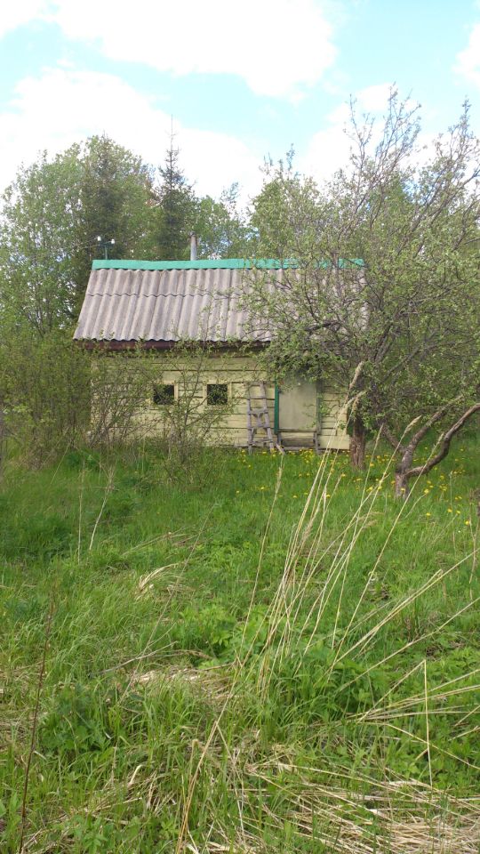 Продажа земли Посадников остров садоводческий массив, Большевичка СНТ, 21-я линия, 181