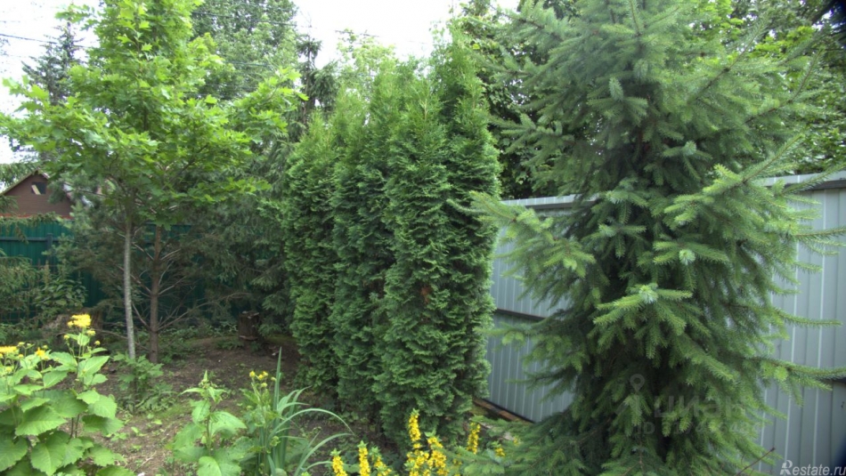 Продажа дома Жаворонки, 1-я Советская улица,  д. 18