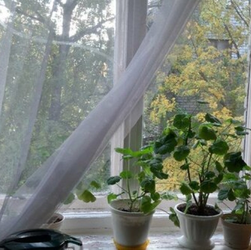 1-комн квартира ул Кустодиева,  д. 7,  к. 1