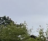 Продать Квартиры вторичка Гатчина, улица Рощинская, 14к1   