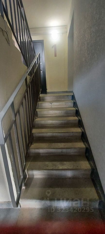 Продажа 1-комн квартиры на вторичном рынке пос. Шушары, Московское шоссе, 256к2