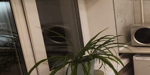 1-комн квартира 1-й Тихвинский тупик, 9