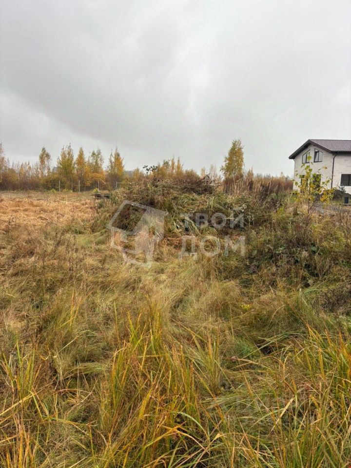 Продажа земли Красный Бор городской поселок