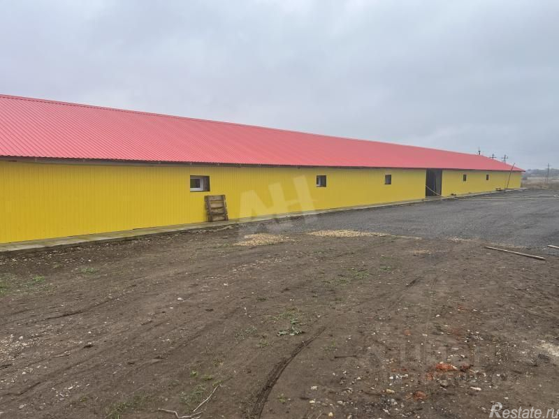 Аренда склада Руднево, , Кашира, ул Центральная,  д. 3