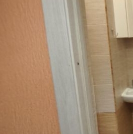 Продажа студии проспект Маршала Блюхера, 8к1 Продажа студии проспект Маршала Блюхера, 8к1