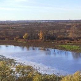 Продажа 3-комн квартиры на вторичном рынке пос. Тельмана, 11к2