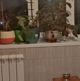 Продажа комнаты улица Здоровцева, 10